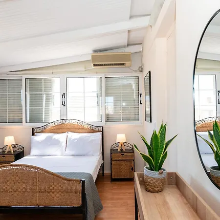 Solstice Loft